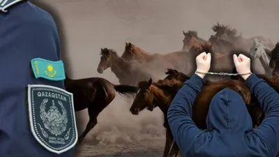 Барымта, мал ұрлығы, Павлодар облысы, аққулы ауданы, күдіктілер, ұсталды, сурет - Zakon.kz жаңалық 26.01.2026 18:52