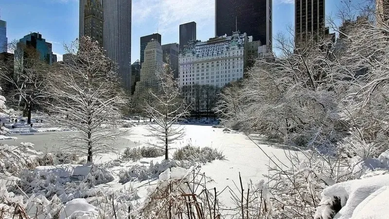 АҚШ-та қарлы боранда отыз шақты адам көз жұмды