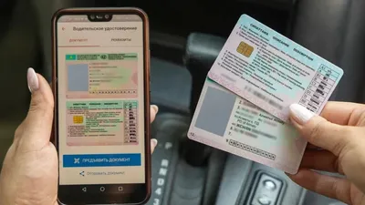 Жүргізуші куәлігі, Алматы, рейд, Қауіпсіз жол, айып тұрағы, сурет - Zakon.kz жаңалық 27.01.2026 17:43