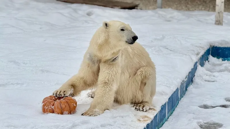 Алматы хайуанаттар бағында жаңа жануарлар түрі көбейіп, келушілер саны артып келеді