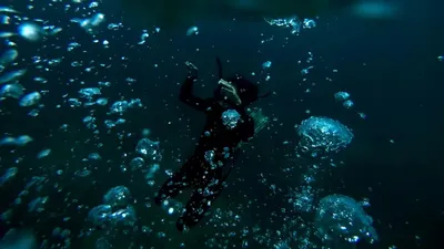 Мұхит түбінен "Жоғалған қала" табылды, сурет - Zakon.kz жаңалық 28.01.2026 13:55