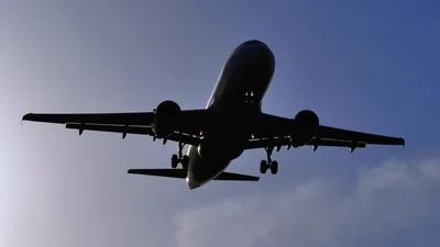 Алматы – Шанхай бағыты бойынша тұрақты рейстер ұшады, сурет - Zakon.kz жаңалық 28.01.2026 18:43