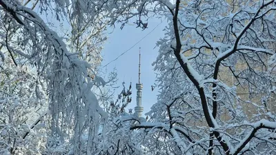 Ауа райы болжамы, 30 қаңтар, Қазақстан, сурет - Zakon.kz жаңалық 29.01.2026 18:19