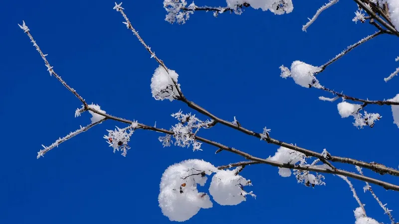 31 қаңтарда қай өңірлерде ауа райына байланысты ескерту жасалды