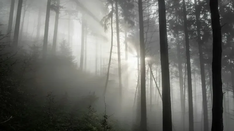 Жексенбіде еліміздің бірқатар өңірінде дауылды ескерту жарияланды