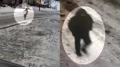 Ұрлық, Қарағанды, жеке үй, тонаау, сейф, күдікті, ұсталды, сурет - Zakon.kz жаңалық 31.01.2026 13:54