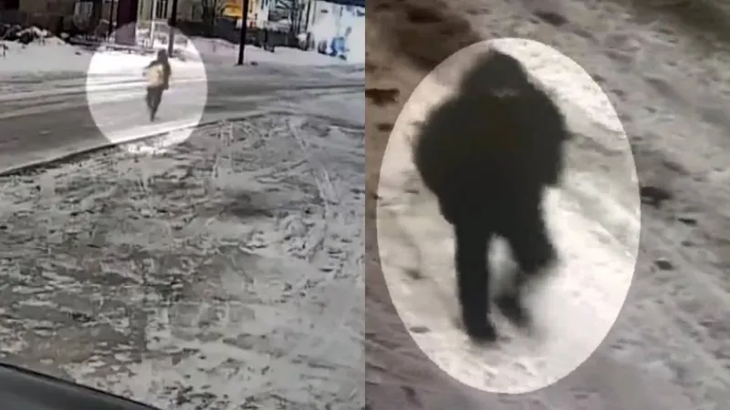 Қарағандыда жеке үйден құнды зат толы сейфті көтеріп кеткен күдікті ұсталды