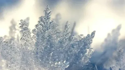 Аяз, боран, қар, 3 ақпан, ауа райы болжамы, Қазақстан, дауылды ескерту, сурет - Zakon.kz жаңалық 02.02.2026 21:55