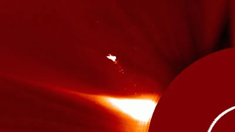 Ғарышта жұмбақ "құс" қайта көрінді