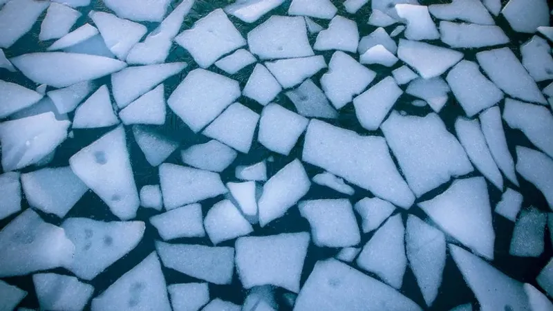 Таразда мұз жарылып, суға түсіп кеткен баланы құтқарған азамат марапатталды