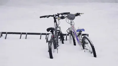 Дауылды жел, қалың қар және аяз: 7 ақпанда ауа райы қандай болады, сурет - Zakon.kz жаңалық 06.02.2026 18:08