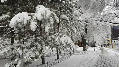 Алматыда демалыс күндері қар жауып, әрі қарай жылы болады, сурет - Zakon.kz жаңалық 06.02.2026 19:30