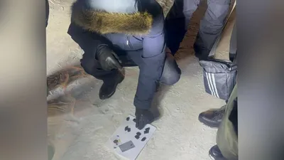 СҚО-да жас жігіттен "синтетика" тәркіленді, сурет - Zakon.kz жаңалық 06.02.2026 21:56