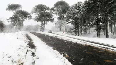 Көктайғақ, ауа райы болжамы, 7 қазан, дауылды ескерту, Қазақстан, сурет - Zakon.kz жаңалық 07.02.2026 17:37