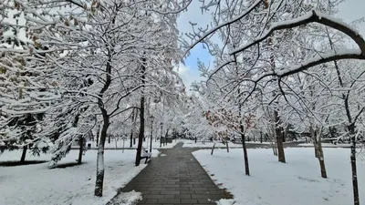 Қыс, ауа райы болжамы, 8 ақпан, Қазақстан, сурет - Zakon.kz жаңалық 07.02.2026 16:05