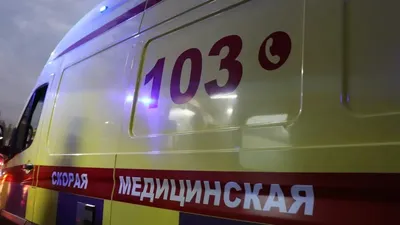 Жедел жәрдем, Шымкент, дәрігерлер, жүрегі тоқтау, сәби, құтқару, сурет - Zakon.kz жаңалық 09.02.2026 18:49