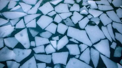 Мұз, Қарағанды, отбасылы жұп, өзен, балық аулау, қайғылы оқиға, сурет - Zakon.kz жаңалық 11.02.2026 22:50