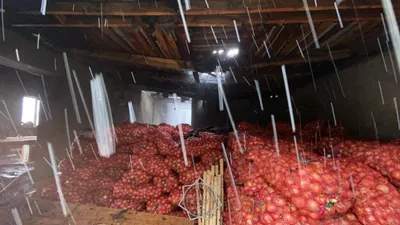 Көкөніс, Тараз, қойма, сурет - Zakon.kz жаңалық 11.02.2026 19:33