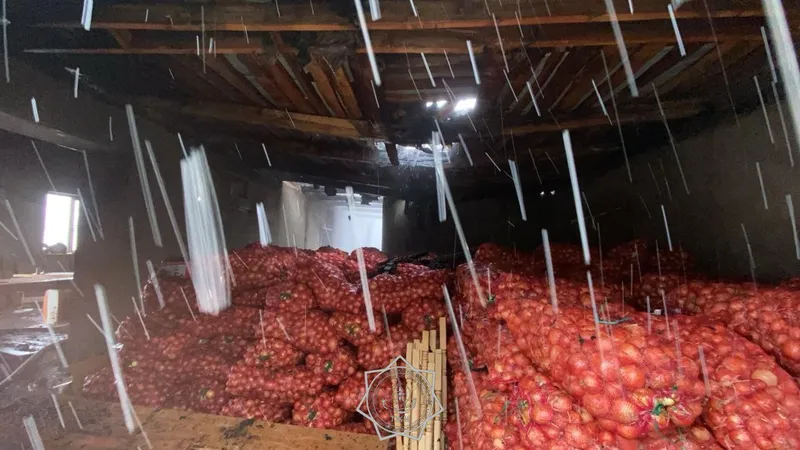 Таразда көкөніс сақтауға арналған қойма өртенді