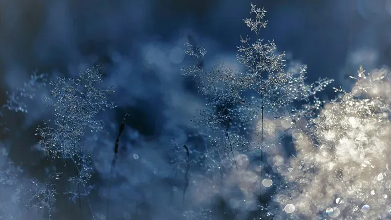 "Қар аралас жаңбыр жауады, аяз болады". Еліміздің басым бөлігінде дауылды ескерту жарияланды