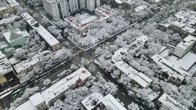 Алматы, Астана, Шымкент, ауа райы болжамы, 12 ақпан, 13 ақпан, 14 ақпан, сурет - Zakon.kz жаңалық 11.02.2026 17:32