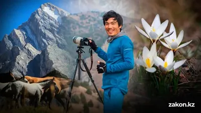 Қазақстандық маман Шымкенттің демалысқа ең қолайлы мекен екенін дәлелдеп жүр, сурет - Zakon.kz жаңалық 12.02.2026 17:01