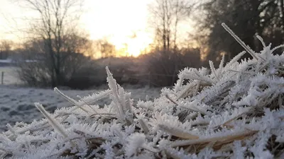 Қазақстанда жұма күні аяз болады, сурет - Zakon.kz жаңалық 12.02.2026 18:02