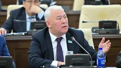 Депутат Энергетика вице-министріне: Сіз бізге жалған ақпарат беріп отырсыз, сурет - Zakon.kz жаңалық 12.02.2026 16:22