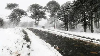 Көктайғақ, ауа райы болжамы, 17 ақпан, дауылды ескерту, Қазақстан, сурет - Zakon.kz жаңалық 16.02.2026 22:22