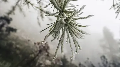 Қазақстанда 18 ақпанда ауа райы қандай болады, сурет - Zakon.kz жаңалық 17.02.2026 17:34