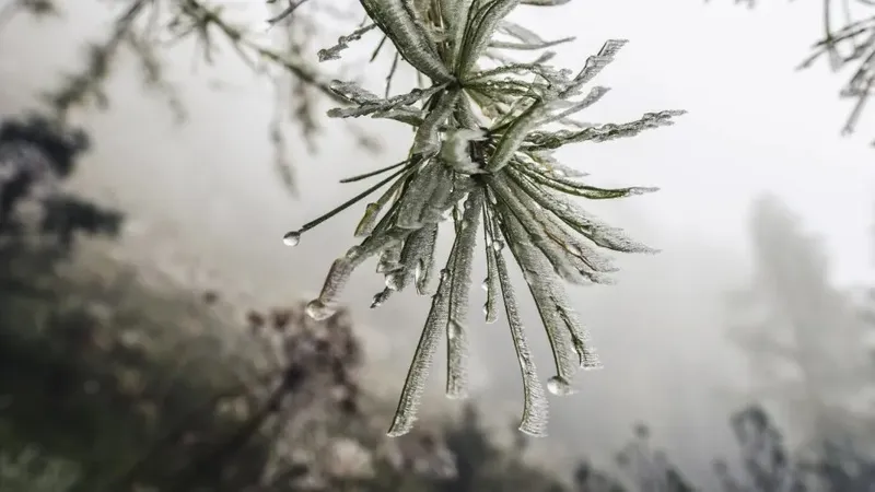 Қазақстанда 18 ақпанда ауа райы қандай болады