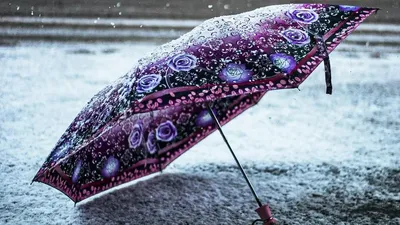 Жаңбыр, қар, жауын-шашын, 19 ақпан, ауа райы болжамы, дауылды ескерту, сурет - Zakon.kz жаңалық 18.02.2026 22:41