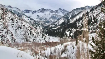 Алматы таулары, пышақ, ер адам, блок бекет, ТЖД, сурет - Zakon.kz жаңалық 18.02.2026 17:57