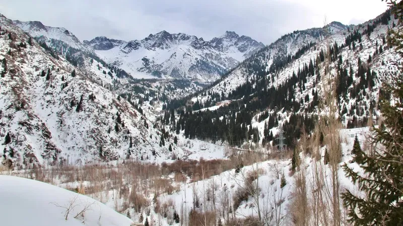 Алматы тауларында қарулы ер адам ұсталды