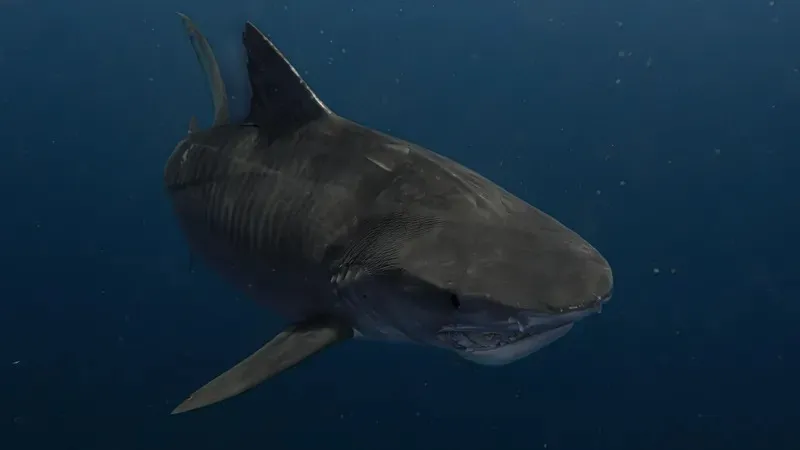 Антарктика мұхитының түбінен акула байқалды
