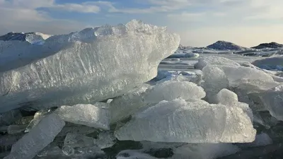 Қапшағай су қоймасындағы мұздықтарды тамашалауға келетін туристер легі артты, сурет - Zakon.kz жаңалық 19.02.2026 16:55