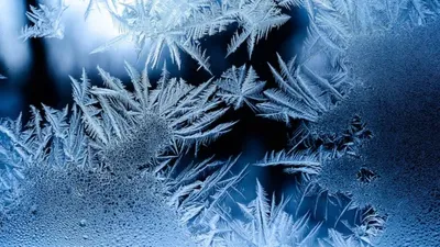 Боран, жел: 21 ақпанда Қазақстанда ауа райы қандай болады, сурет - Zakon.kz жаңалық 20.02.2026 18:38