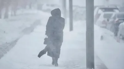 Боран, қар, тұман, 23 ақпан, дауылды ескерту, ауа райы болжамы, сурет - Zakon.kz жаңалық 22.02.2026 16:38