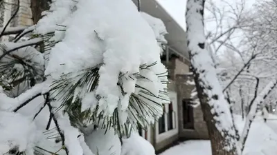 Қар, аяз, боран, ауа райы болжамы, 24 ақпан, дауылды ескерту, сурет - Zakon.kz жаңалық 23.02.2026 21:24