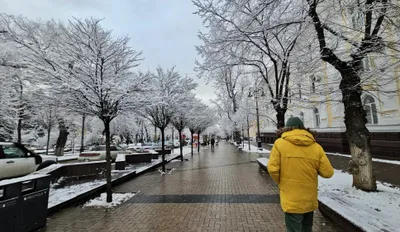 Жауын-шашын мен дауыл: 25 ақпанға арналған ауа райы болжамы, сурет - Zakon.kz жаңалық 24.02.2026 18:02