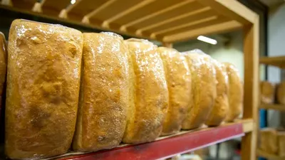 Нан, бөлке нан, Өскемен, смартфон, тергеу изоляторы, сурет - Zakon.kz жаңалық 25.02.2026 22:28