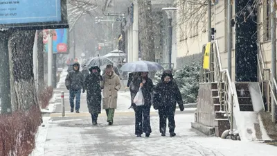 Қазақстанның кейбір өңірінде 40 градусқа дейін аяз болады, сурет - Zakon.kz жаңалық 26.02.2026 18:06