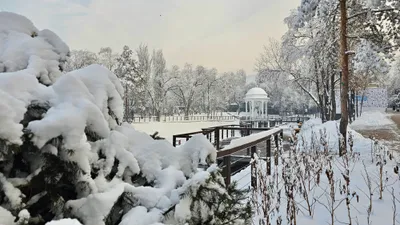 Қар, тұман, көктайғақ: 27 ақпанда қай өңірлерде ауа райына байланысты ескерту жасалды, сурет - Zakon.kz жаңалық 26.02.2026 19:46