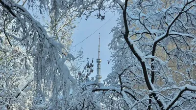 Қар, аяз, боран, ауа райы болжамы, 28 ақпан, дауылды ескерту, Қазақстан, сурет - Zakon.kz жаңалық 27.02.2026 21:00