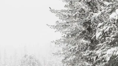 Аяз, суық, ауа райы болжамы, 1 наурыз, Қазақстан, сурет - Zakon.kz жаңалық 28.02.2026 14:36