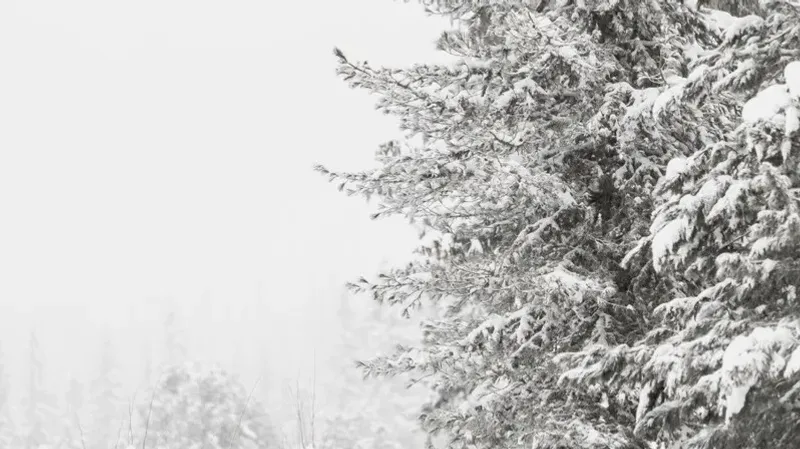 Қазақстанда көктемнің алғашқы күнінде қатты аяз сақталып, күн суық болатыны болжанады