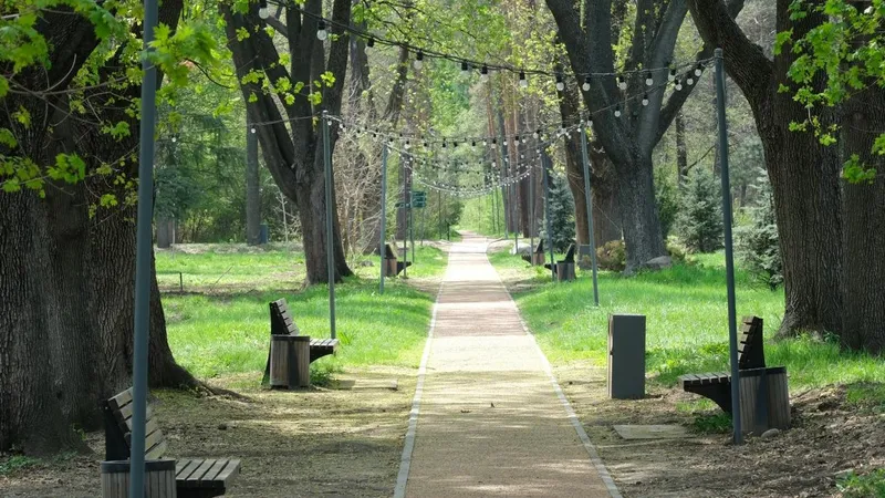 Алматыда 2026 жылы 550 мыңнан астам жасыл желек отырғызылады