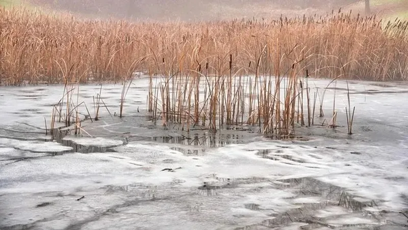 Үкіметте су тасқыны қаупінің деңгейі жоғары өңірлердің аты аталды