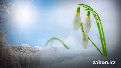 Ауа райы болжамы, сәуір, Қазақстан, сурет - Zakon.kz жаңалық 02.03.2026 18:46