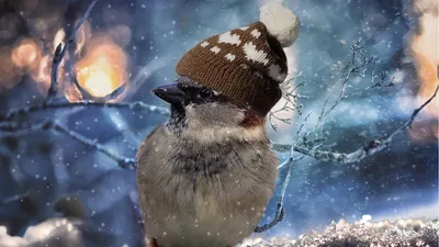 4 наурызда қай өңірлерде қолайсыз ауа райына байланысты ескерту жасалды, сурет - Zakon.kz жаңалық 03.03.2026 20:42